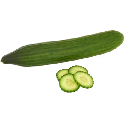 Cucumber